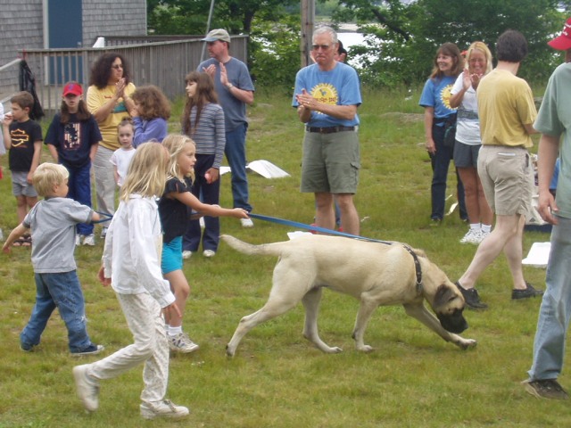 Children are walking a dog in a crowd